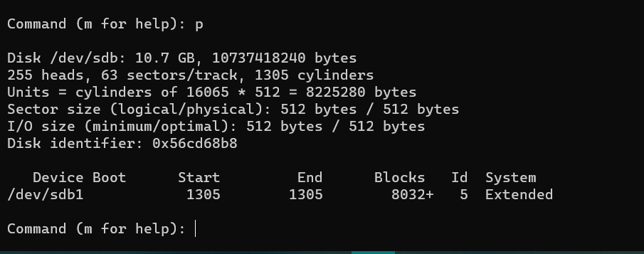 fdisk /dev/sdb