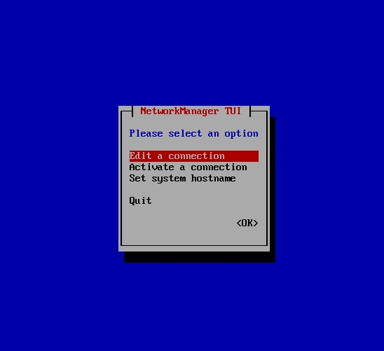 openEuler_config_nmtui_edit_connection.png